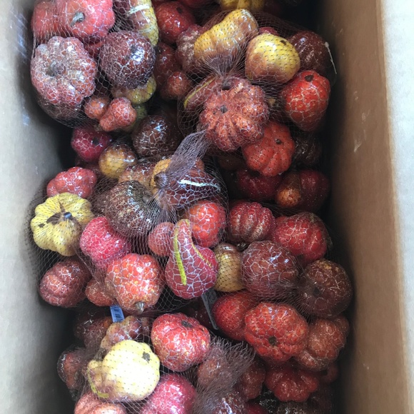 Set of 2 Metallic Fall Autumn Halloween Pumpkin and Gourd Bundle - Picture 3 of 5